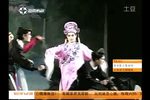 双审案 全集