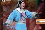 真假女婿 27下载