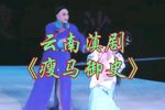 瘦马御史 全集下载