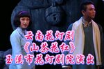 山茶花红下载
