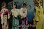 林攀桂与杨桂英 全集