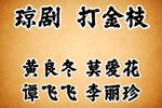 打金枝下载