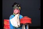 狸猫换太子 选段