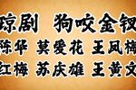 狗咬金钗下载