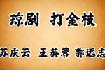打金枝下载