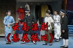 梨花依旧 全集下载