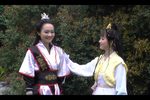 风舞残红第七集下载