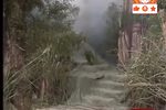 红尘奇英 10下载