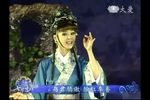 菩提禅心下载