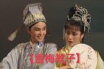 雪梅教子下载