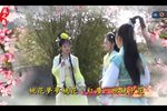 梦里桃花第九集