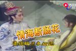 情海断肠花 选段