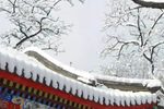 阿婆兰