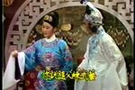 孟丽君 5