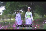 风舞残红第四集下载