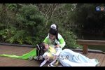 梦里桃花第十集