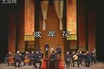 彼岸花下载