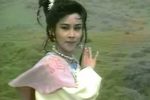 薛丁山与樊梨花 1