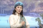 菩提禅心
