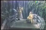 潇湘夜雨