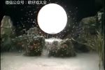 狂花飘云梦