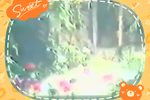 莲花铁三郎