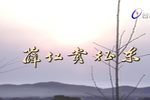 薛仁贵征东