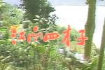 江南四才子