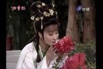伍柳枝