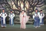 文曲月痕下载