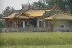 草蜢弄鸡公下载