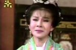 楊家將