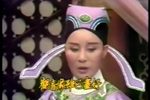 孟丽君 14