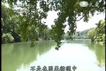 菩提禅心下载
