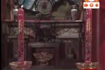 红尘奇英 20下载