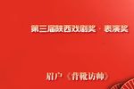 背靴访帅 全集