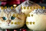 张连卖布 选段下载