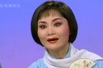 蝶恋花 选段