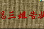 杨三姐告状 全集