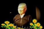 盘店下载