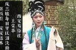 安安送米 选段