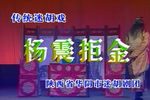杨震拒金下载