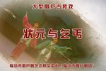 状元与乞丐 全集