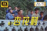 杏花村下载