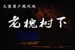老槐树下 全集