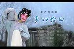 寡妇验田