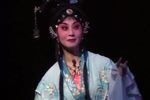 黛玉葬花下载