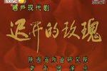 迟开的玫瑰 全集