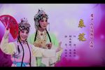 火焰驹表花
