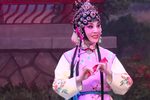 表花下载